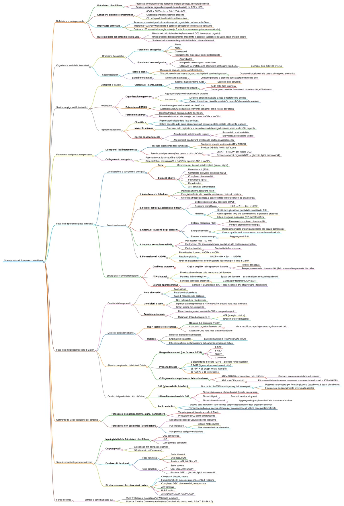 Mappa concettuale della fotosintesi generata da RisolviCompiti: definizione, cloroplasti e fotosistemi, fase luminosa e ciclo di Calvin